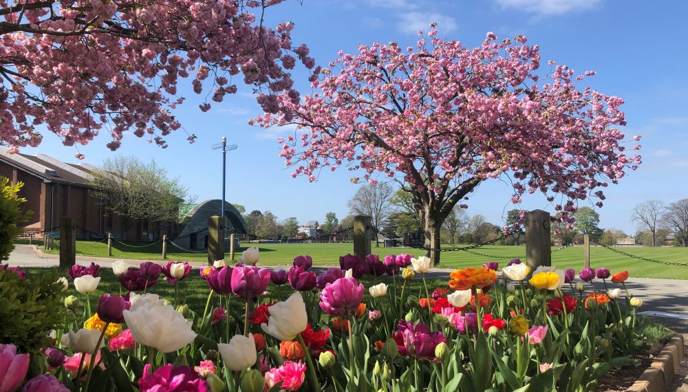 Leo Winkley: Letters From Shrewsbury